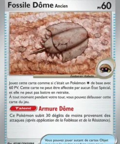 Fossile Dôme Ancien Reverse 152/165