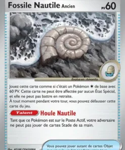 Fossile Nautile Ancien Reverse 153/165