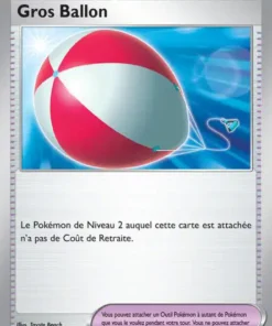 Gros Ballon Reverse 155/165