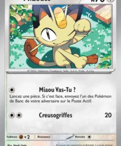 Miaouss Reverse 52/165