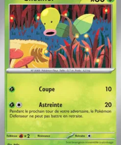 Chétiflor Reverse 69/165