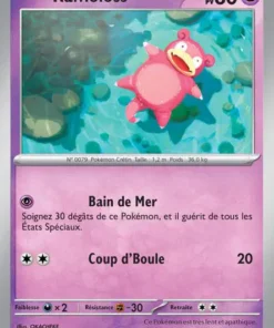 Ramoloss Reverse 79/165