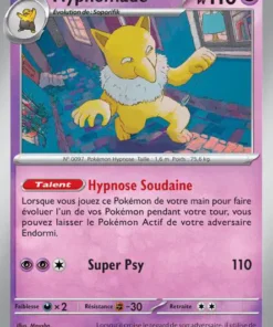 Hypnomade Reverse 97/165