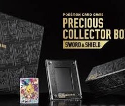 Precious Box Collector Japonaise